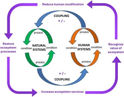 Reflooding the coupled human and natural system of the Waza-Logone Floodplain, Cameroon